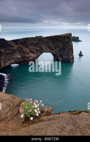 Dyrhólaey natürlichen Bogen, der südlichste Punkt in Island, in der Nähe von Vik, im Süden von Island (Sudurland), Island, Polarregionen Stockfoto