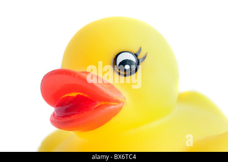 Eine Nahaufnahme von einer Gummiente. Alle vor einem weißen Hintergrund. Stockfoto