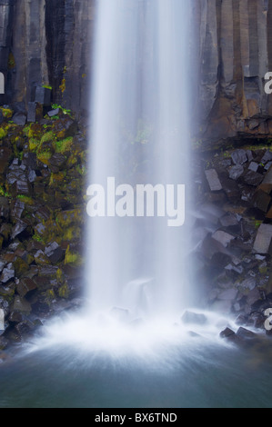 Wasser taumeln auf schwarzen Basaltsäulen am berühmten Wasserfall Svartifoss Skaftafell-Nationalpark, Südost-Island, Island Stockfoto