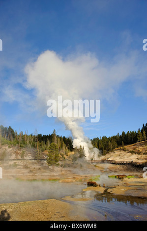 Schlammvulkan, Yellowstone-Nationalpark, Wyoming, USA Stockfoto