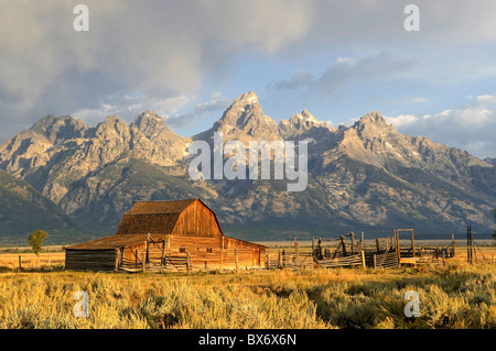 Historische Scheune auf Mormone Zeilen- und Teton Bergkette, Grand-Teton-Nationalpark, Wyoming, USA Stockfoto