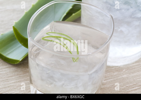 Glas mit Aloe Getränk und Blatt als Nahaufnahme Stockfoto