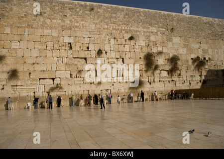 Die Klagemauer in Jerusalem Stockfoto