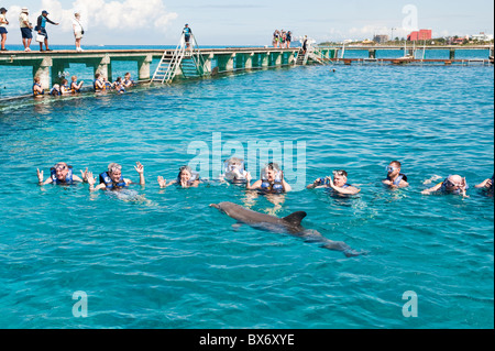 Dolphin Discovery Chankanaab Park, Isla de Cozumel (Insel Cozumel), Cozumel, aus Yucatan, Quintana Roo, Mexiko Stockfoto