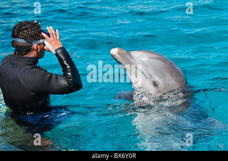 Dolphin Discovery Chankanaab Park, Isla de Cozumel (Insel Cozumel), Cozumel, aus Yucatan, Quintana Roo, Mexiko Stockfoto