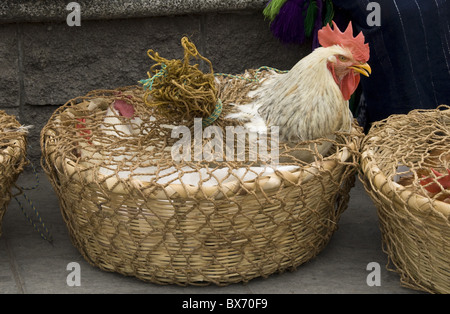 Hühner zum Verkauf an den Freitag Markt in dem Dorf Solola, in der Nähe von Lake Atitlan, Guatemala, Mittelamerika Stockfoto