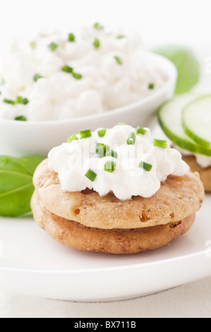 Quark mit Gurke auf Cracker mit Kräutern als Nahaufnahme Stockfoto