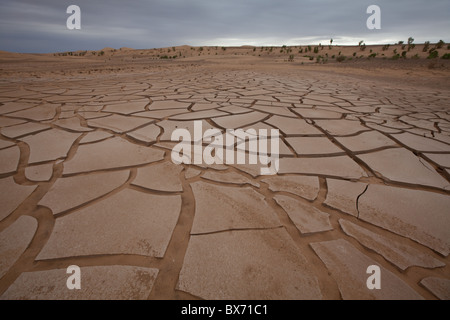 Dürre trockene rissige Politik der verbrannten Erde an Khongors Sanddünen in der südlichen Wüste Gobi, Mongolei Stockfoto