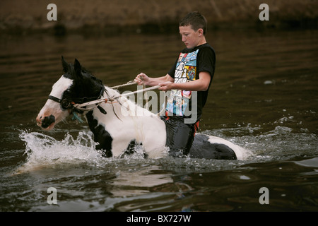 Fahrende Reiten und Waschen ein Pferd in den Fluss Eden während der Appleby Horse Fair, Appleby in Westmorland, Cumbria, UK Stockfoto