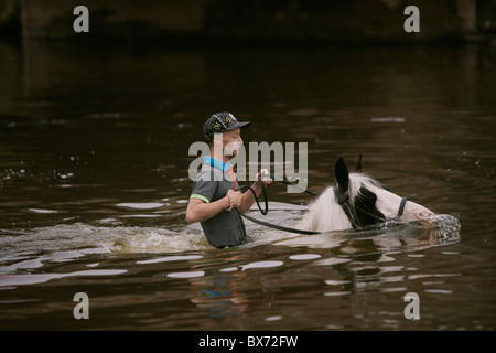 Fahrende Reiten und waschen Pferde im Fluss Eden während der Appleby Horse Fair, Appleby in Westmorland, Cumbria, UK Stockfoto