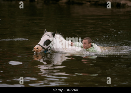 Gypsy Reisende Reiten und Pferde im Fluss Eden waschen, während der Appleby Horse Fair, Appleby in Westmorland, Cumbria, UK Stockfoto