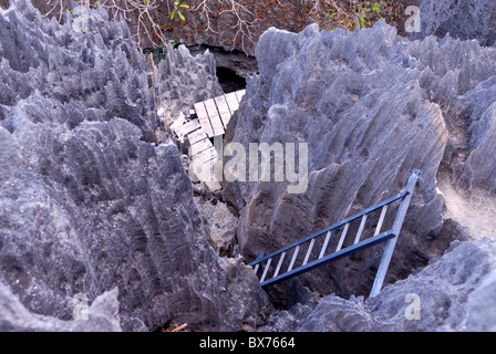 Korallen-Formationen, Tsingy de Bemaraha, UNESCO-Weltkulturerbe, Madagaskar, Afrika Stockfoto