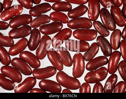 Rote Kidney-Bohnen (Phaseolus Vulgaris) Samen Stockfoto