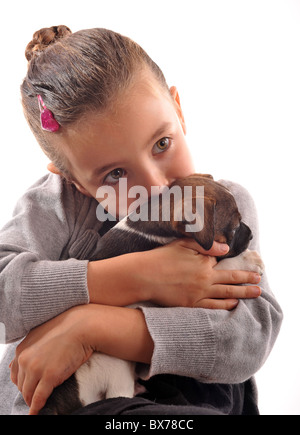 kleine Mädchen und ihre reinrassigen Welpen jack Russel terrier Stockfoto