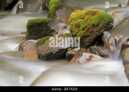 Einem felsigen Wasserfall im Bergbach mit Moos auf den Felsen, eine beruhigende und friedliche Szene der Natur in Skagway, Alaska, USA. Stockfoto