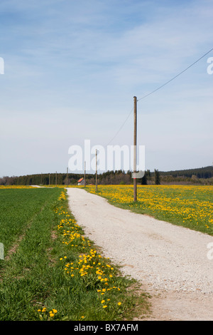 Kleinen Landstraße in Bayern Stockfoto