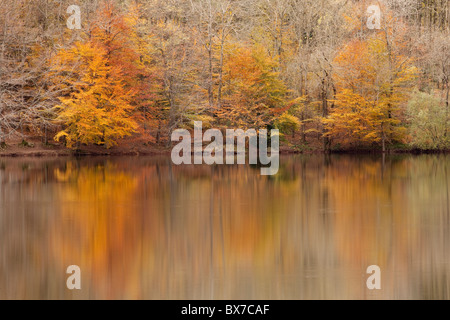 Santa Fe See, natürlichen Park von Montseny, Barcelona, Spanien Stockfoto