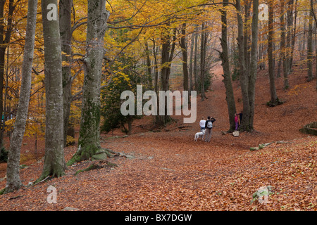 Santa Fe See, natürlichen Park von Montseny, Barcelona, Spanien Stockfoto