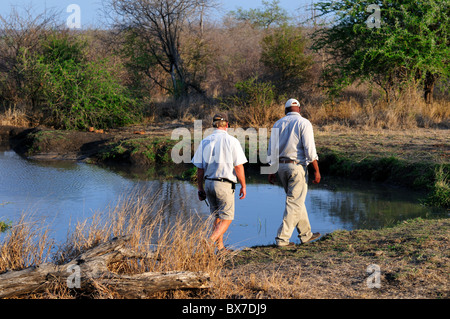 Park Ranger auf der Suche nach Tierspuren rund um ein Wasserloch. Krüger Nationalpark, Südafrika. Stockfoto