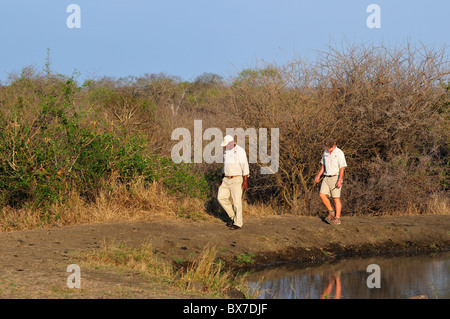Parkranger und Tracker auf der Suche nach Tier verfolgen um ein Wasserloch. Kruger National Park, Südafrika. Stockfoto