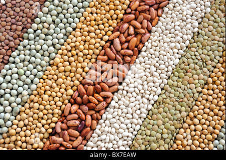 Mischung aus getrockneten Linsen, Erbsen, Sojabohnen, Bohnen - Hintergrund - von oben Stockfoto