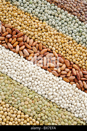 Mischung aus getrockneten Linsen, Erbsen, Sojabohnen, Bohnen - Hintergrund - von oben Stockfoto