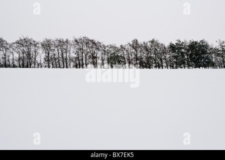 Schnee bedeckt die Landschaft, Rainham, Kent, South East, England, Großbritannien Stockfoto