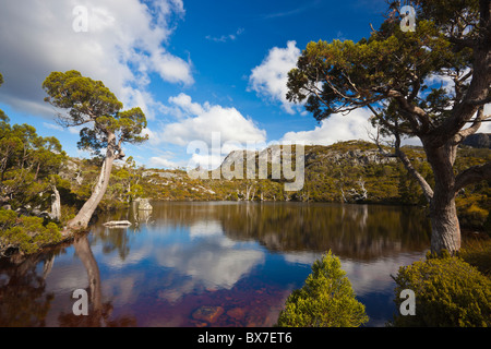 Wombat Pool, Cradle Mountain Lake St. Clair Nationalpark in Tasmanien Stockfoto