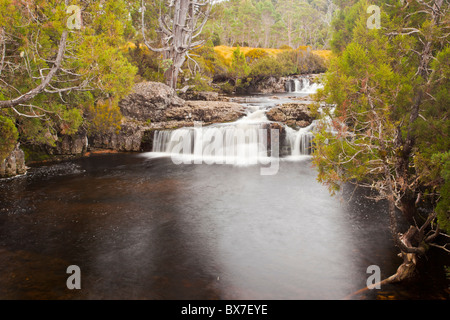 Die Wasserfälle auf Bleistift Pine Creek am Cradle Mountain, Tasmanien Stockfoto