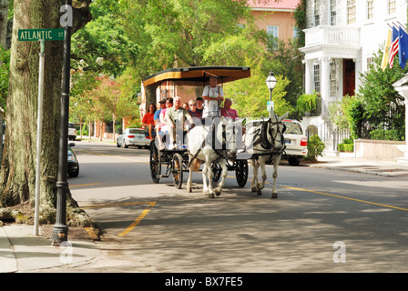 Sightseeing Reitertour auf Straßen des historischen Teil des alten Charleston, SC Stockfoto