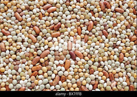 Gemischte Puls – Linsen, Erbsen, Sojabohnen, Bohnen - Hintergrund Stockfoto