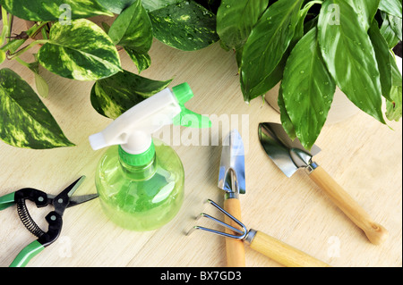 Gartengeräte und Zimmerpflanzen-Stillleben Stockfoto