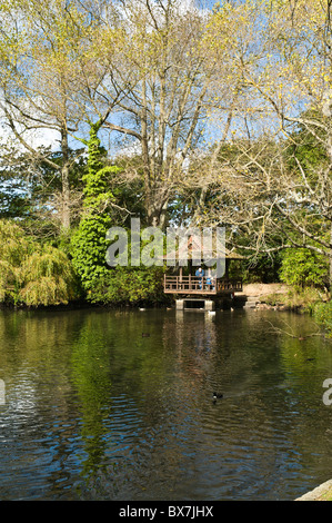 Dh Saumarez Park CASTEL GUERNSEY Mann und der Junge füttern Ente Saumarez Park Lake Gardens Stockfoto