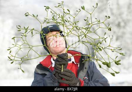 Tenbury Wells jährlichen Weihnachten Mistel und Holly Auction. Stockfoto