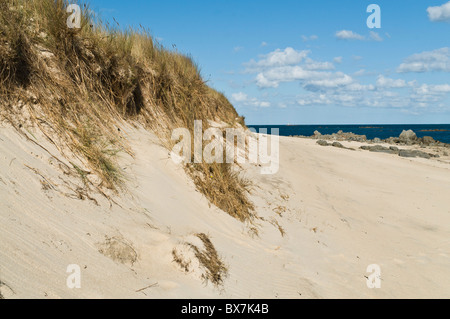 dh Herm Island HERM GUERNSEY Sanddünen Shell Beach Sanddünen Strände Kanal Inseln Gras grasbewachsenen Ufer Stockfoto