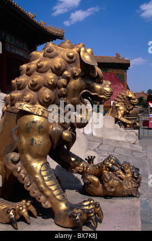 Löwe vor Tor der Himmlischen Reinheit (Qianqingmen), Kaiserpalast (Verbotene Stadt), Peking, Weltkulturerbe Stockfoto