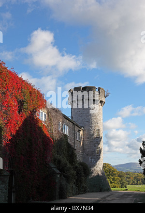 Wildem Bodelwyddan Burg in der Nähe von Bodelwyddan Denbighshire Nord-Wales Stockfoto