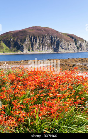 Davaar Insel an der Mündung des Campbeltown Loch gesehen über Kildalloig Bucht, an der Kintyre-Halbinsel, Argyll & Bute, Schottland Stockfoto