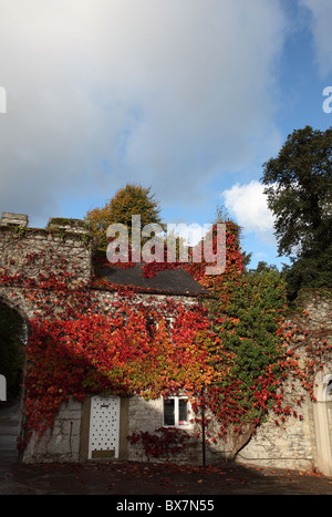 Wildem Bodelwyddan Burg in der Nähe von Bodelwyddan Denbighshire Nord-Wales Stockfoto