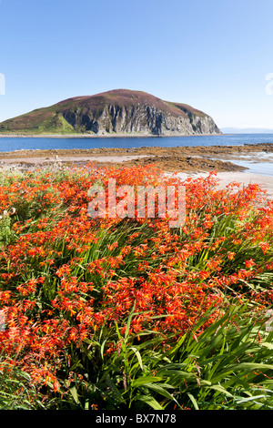 Davaar Island an der Einmündung des Campbeltown Loch, der über die Kildalloig Bay, auf der Halbinsel Kintyre, Argyll & Bute, Schottland, Großbritannien, liegt Stockfoto