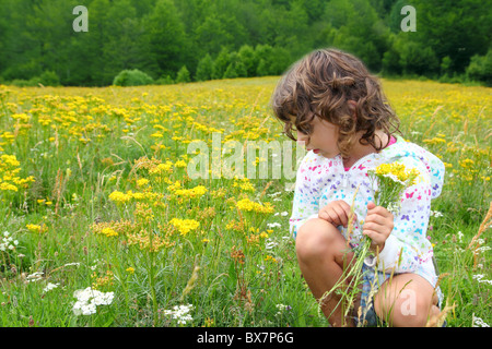 Mädchen Blumen zu pflücken, in gelben Frühlingswiese schöne malerische in Pyrenäen Spanien Stockfoto