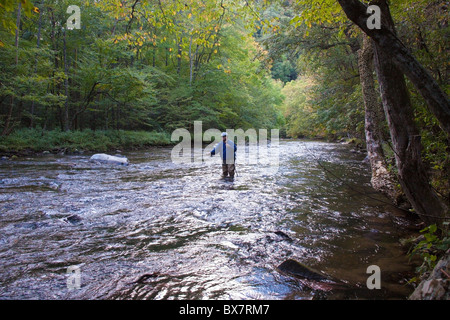 Einsamer Fliegenfischer am Oconaluftee River in der Nähe von Cherokee, North Carolina, USA Stockfoto