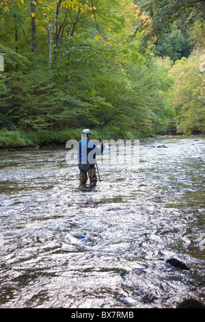 Einsamer Fliegenfischer am Oconaluftee River in der Nähe von Cherokee, North Carolina, USA Stockfoto