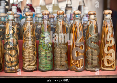 Laotische Rum mit Schlangen auf dem Display an einem Marktstand, Laos Stockfoto