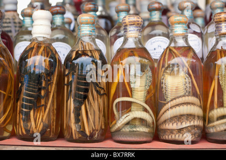 Laotische Rum mit Schlangen und Skorpione auf dem Display an einem Marktstand, Laos Stockfoto