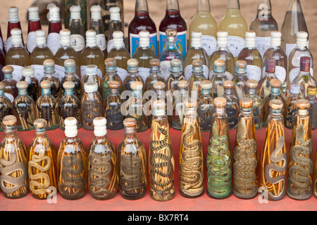 Laotische Rum mit Schlangen auf dem Display an einem Marktstand, Laos Stockfoto