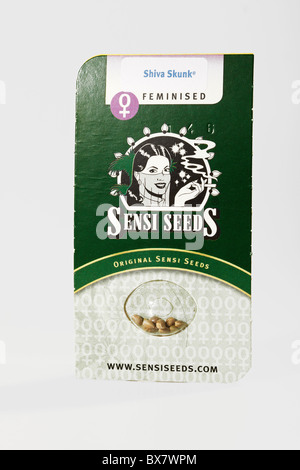 Sensi Seeds, Cannabis-Samen verkauft in Amsterdam, Niederlande Stockfoto