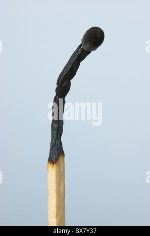 Verkohlte Sicherheit Match. Stockfoto