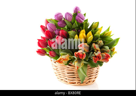 Korb mit bunten Blumensträußen von Tulpen auf weißem Hintergrund Stockfoto