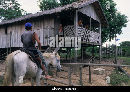 Mann auf dem Pferd gegen Stelzen. Camutins Marajó Insel des Bundesstaates Pará. Brasilien (Amazonas) Stockfoto